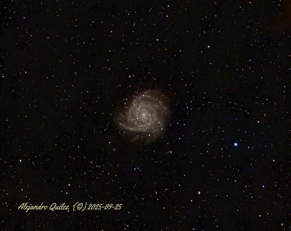 IC 342 La Galaxia Oculta