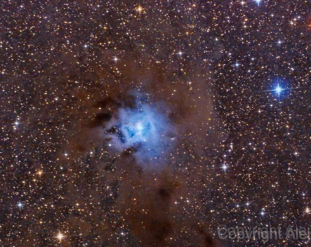 NGC 7023 Nebulosa iris